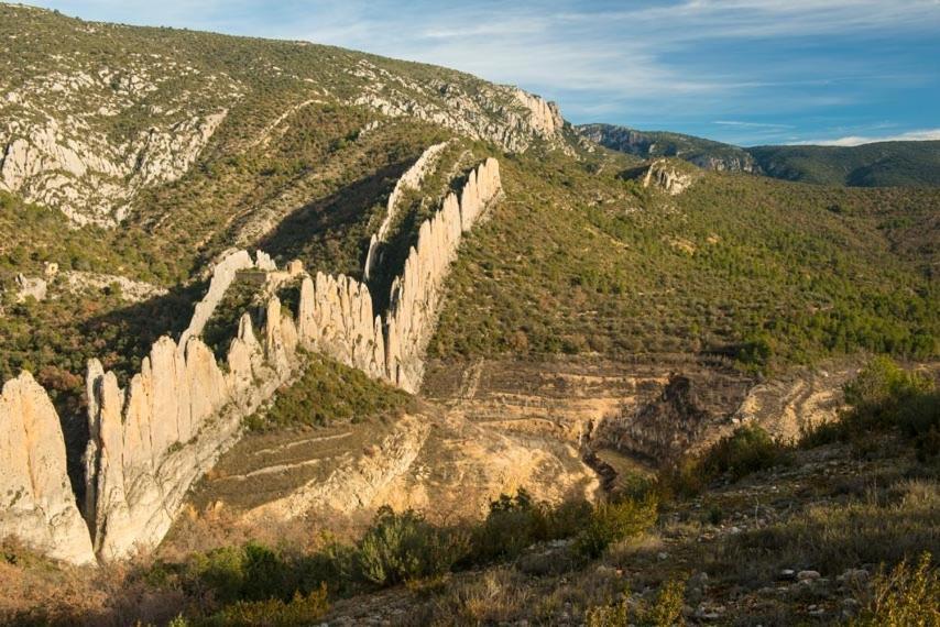 Cala Monica Apartman Camarasa Kültér fotó
